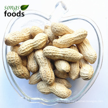 New Crop Raw Peanut Inshell for Sale